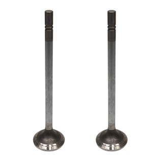 VALVULA ESCAPE CAT C12 391964  PAI